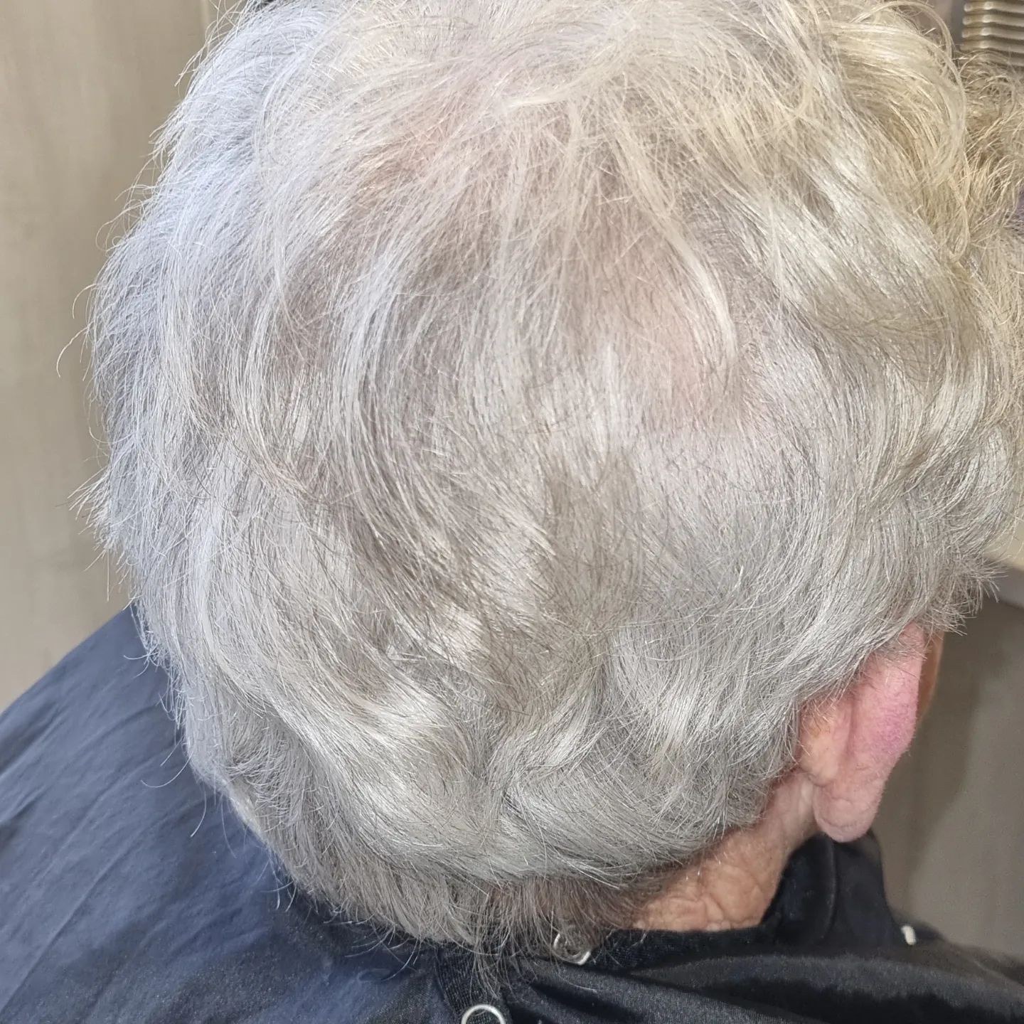 Grijs haar, gewassen en in model gebracht